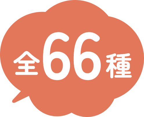 全66種