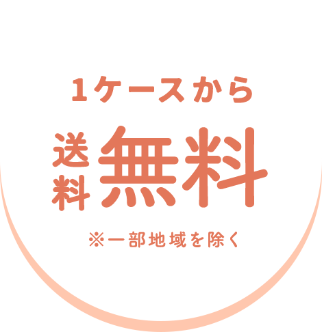 1ケースから送料無料※一部地域を除く